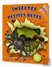 Insectes Et Petites Betes