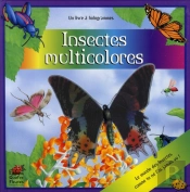 Insectes Multicolores