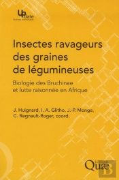 Insectes Ravageurs Des Graines De Légumineuses