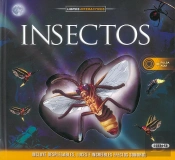Insectos