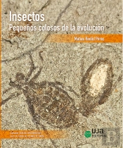 Insectos Pequeños Colosos De La Evolucion
