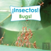 Insectos!