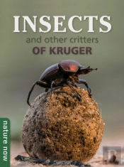 Insects And Other Critters Of Kruger
