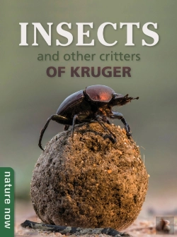 Bertrand.pt - Insects And Other Critters Of Kruger