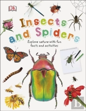 Insects And Spiders