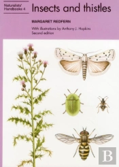 Insects And Thistles