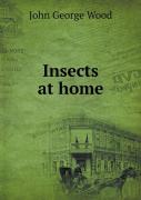 Insects At Home