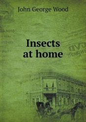 Insects At Home
