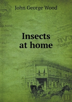 Bertrand.pt - Insects At Home