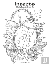Insects Coloring Book For Grown-Ups 1