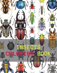Insects Coloring Book