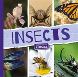 Bertrand.pt - Insects