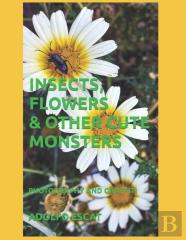 Insects, Flowers & Other Cute Monsters