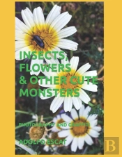 Insects, Flowers & Other Cute Monsters