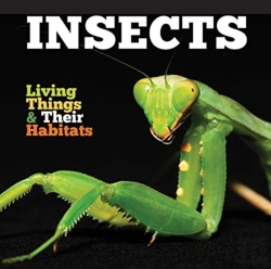 Bertrand.pt - Insects