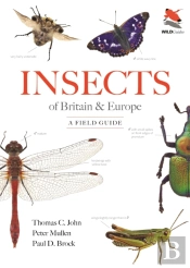 Insects Of Britain And Europe