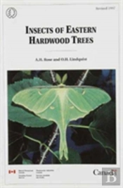 Insects Of Eastern Hardwood Trees