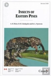 Insects Of Eastern Pines