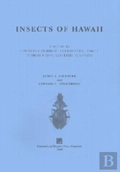 Insects Of Hawaii