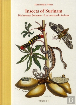 Bertrand.pt - Insects of Surinam