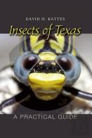 Insects Of Texas