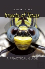 Insects Of Texas