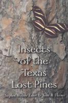 Insects Of The Texas Lost Pines