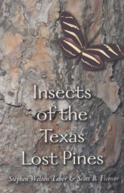 Insects Of The Texas Lost Pines