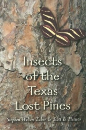 Insects Of The Texas Lost Pines