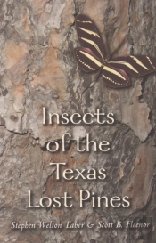 Insects Of The Texas Lost Pines