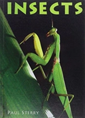 Insects