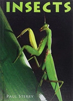 Bertrand.pt - Insects