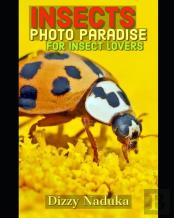 Insects Photo Paradise For Insect Lovers