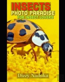 Bertrand.pt - Insects Photo Paradise For Insect Lovers