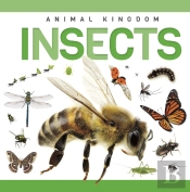 Insects