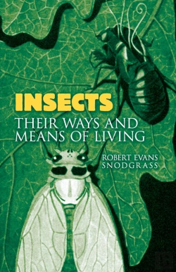 Bertrand.pt - Insects