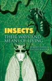Insects
