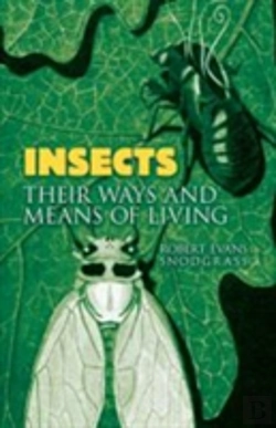 Bertrand.pt - Insects