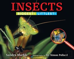 Bertrand.pt - Insects
