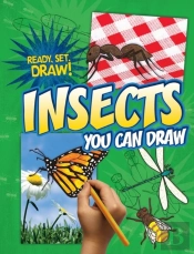 Insects You Can Draw