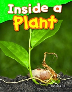 Bertrand.pt - Inside A Plant