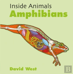 Bertrand.pt - Inside Animals: Amphibians