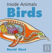 Inside Animals Birds