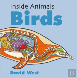 Bertrand.pt - Inside Animals Birds