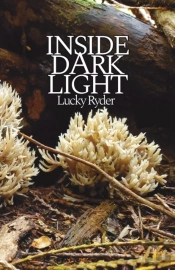 Inside Dark Light