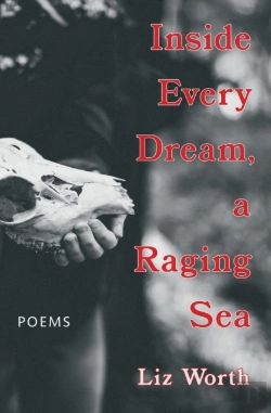 Bertrand.pt - Inside Every Dream, A Raging Sea