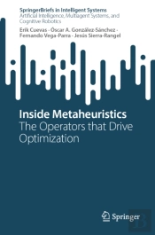 Inside Metaheuristics