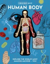 Inside Out Human Body