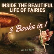 Inside The Beautiful Life Of Fairies
