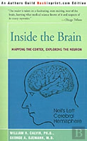 Inside The Brain